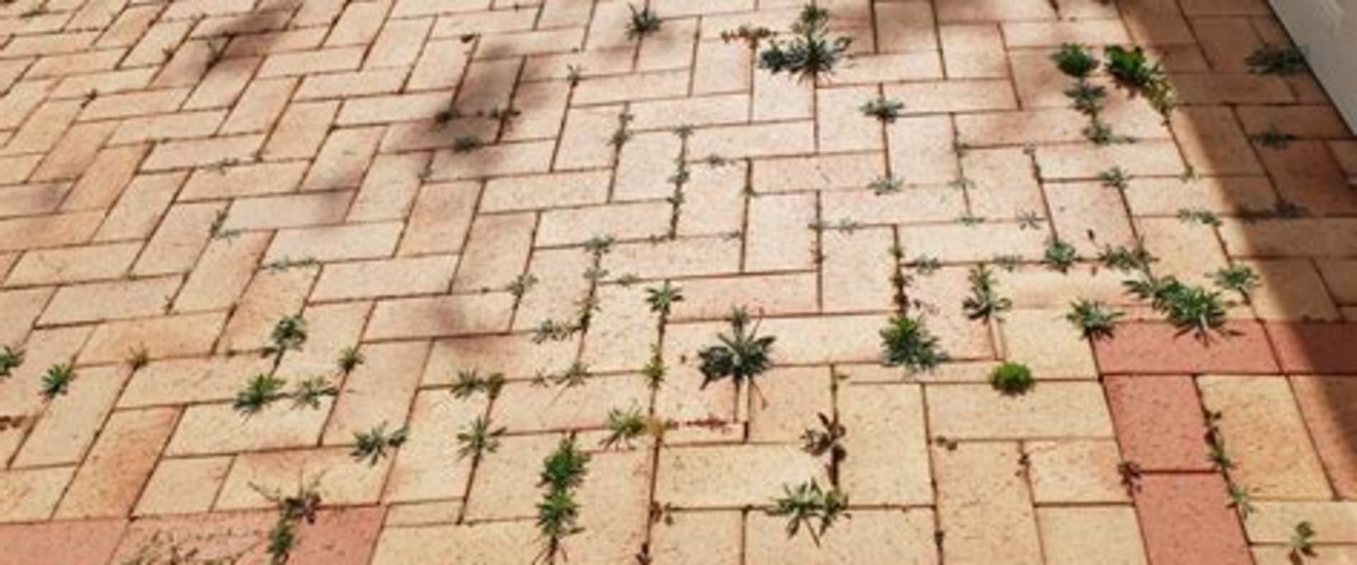 Effective Strategies for Preventing Weeds Between Pavers