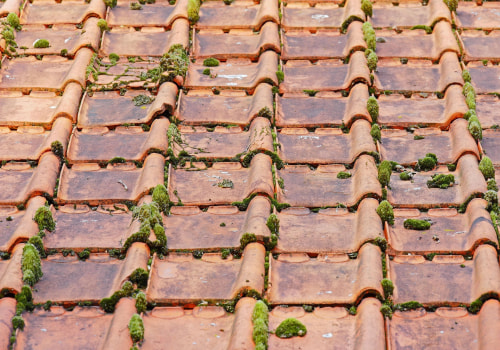 Protect Your Home: Roofing and Paver Maintenance Tips